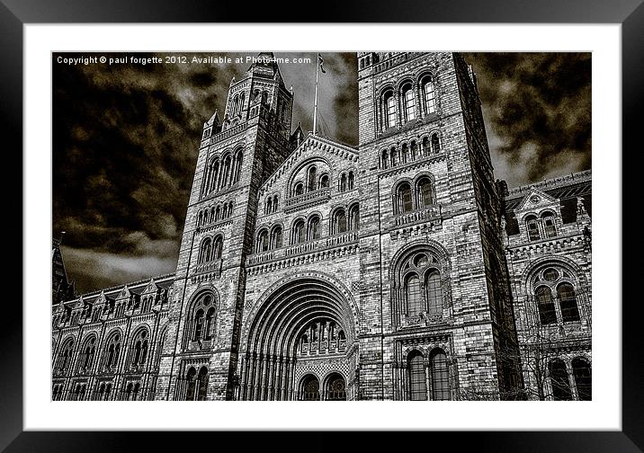 natural history museum main hall Framed Mounted Print by paul forgette