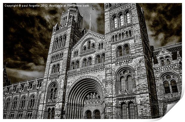 natural history museum main hall Print by paul forgette