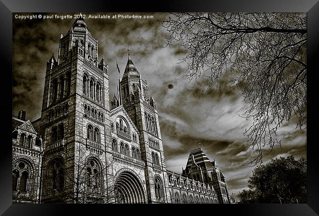 natural history museum main hall Framed Print by paul forgette