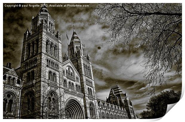 natural history museum main hall Print by paul forgette