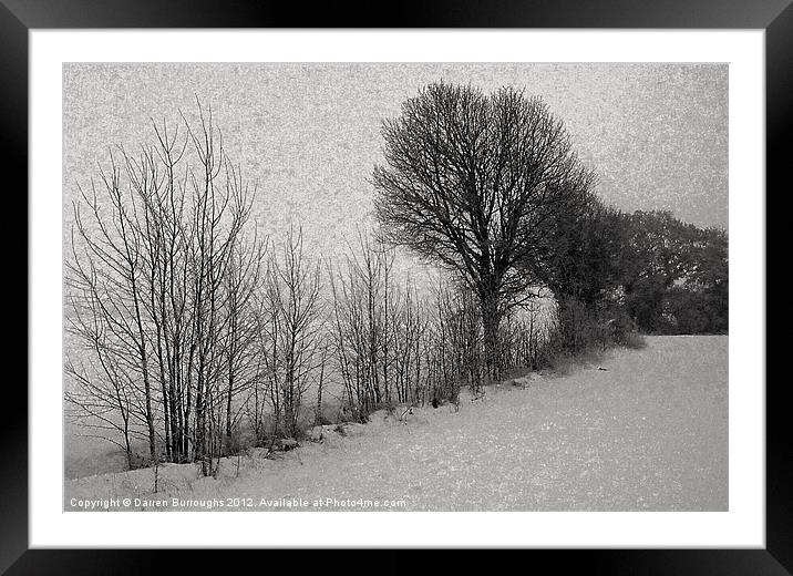 Winter trees Framed Mounted Print by Darren Burroughs