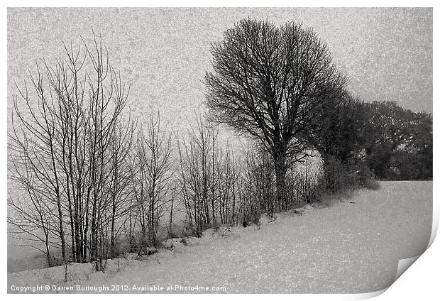 Winter trees Print by Darren Burroughs