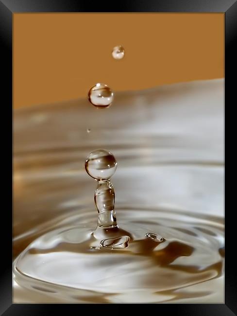 Water Droplet Macro Framed Print by Mike Gorton