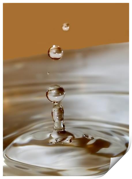 Water Droplet Macro Print by Mike Gorton