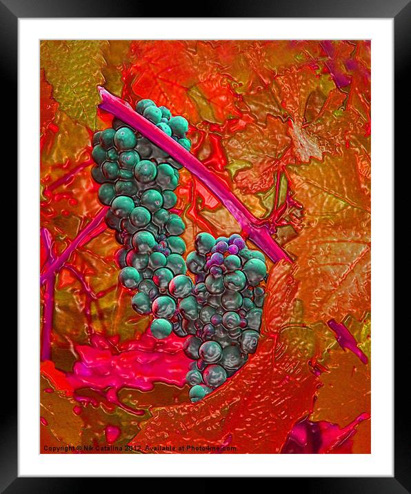 Autumn Grapes Framed Mounted Print by Nik Catalina