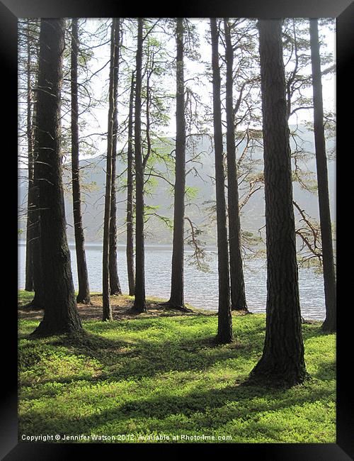 Loch Muick through the Trees Framed Print by Jennifer Henderson