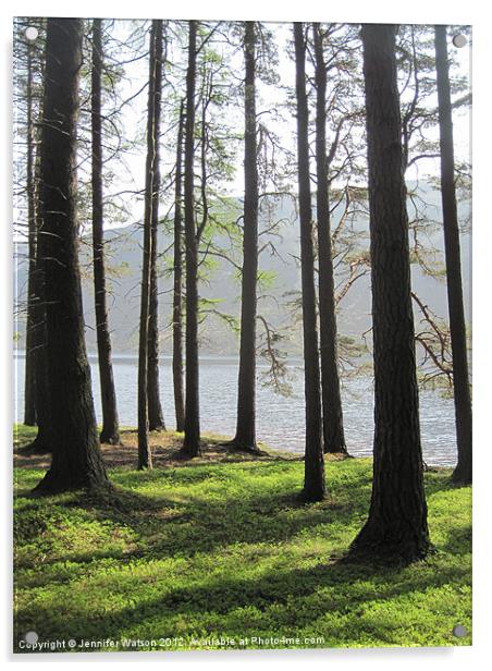 Loch Muick through the Trees Acrylic by Jennifer Henderson