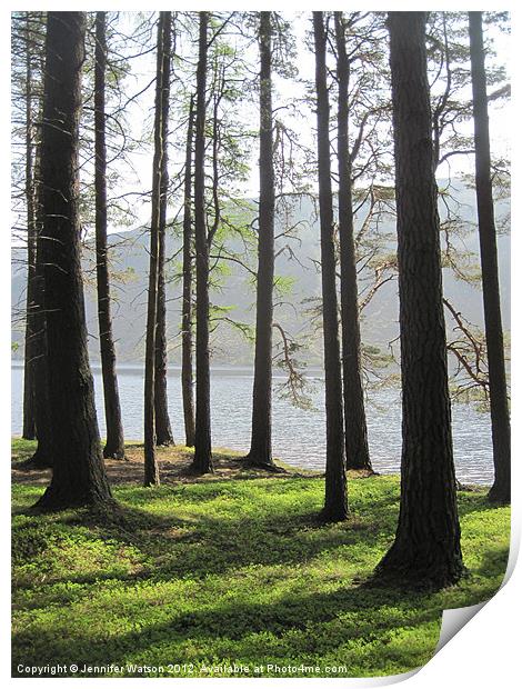 Loch Muick through the Trees Print by Jennifer Henderson