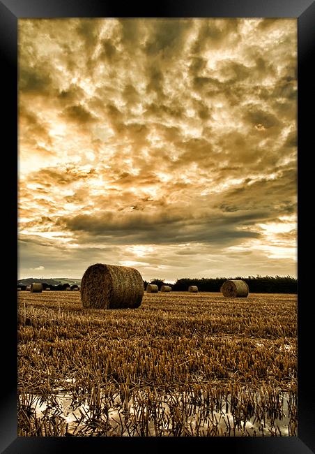 Straw Bales Framed Print by Dave Wilkinson North Devon Ph