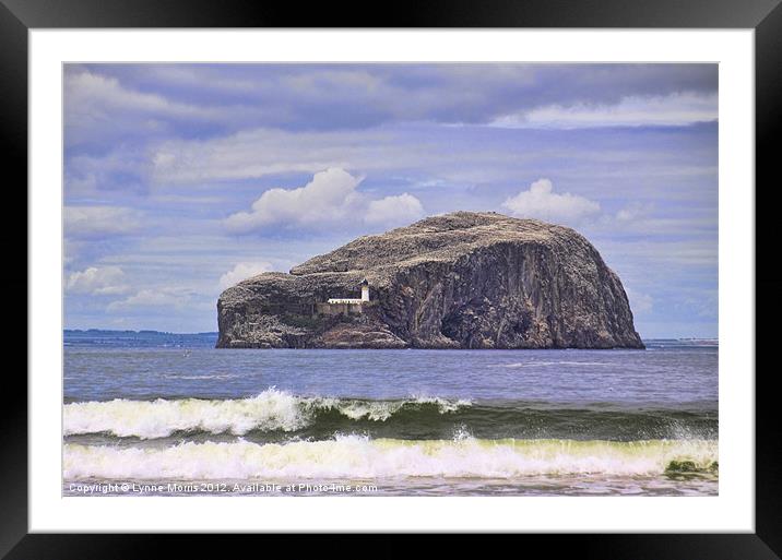 The Bass Rock Framed Mounted Print by Lynne Morris (Lswpp)