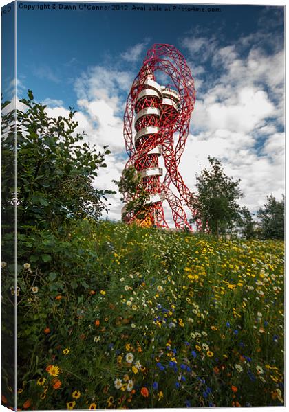 Olympic Park Canvas Print by Dawn O'Connor