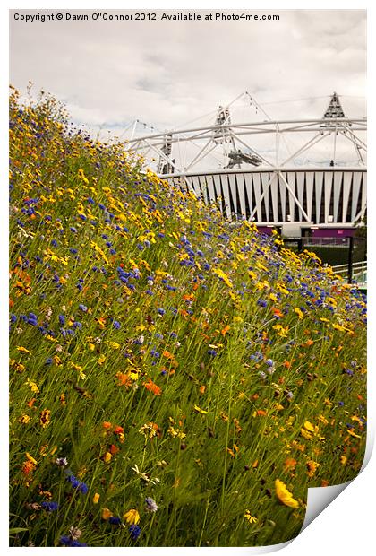 Olympic Park Print by Dawn O'Connor