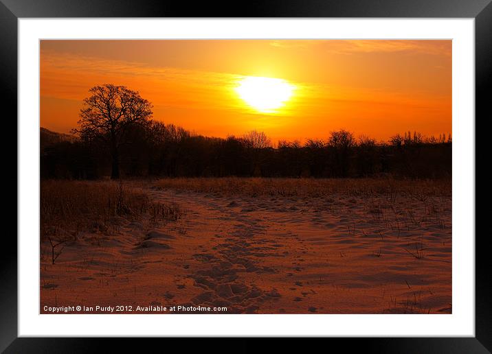 Walk in the snow Framed Mounted Print by Ian Purdy