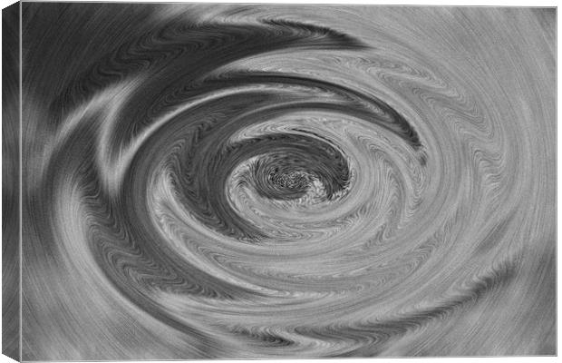 Swirl Art Canvas Print by David Pyatt