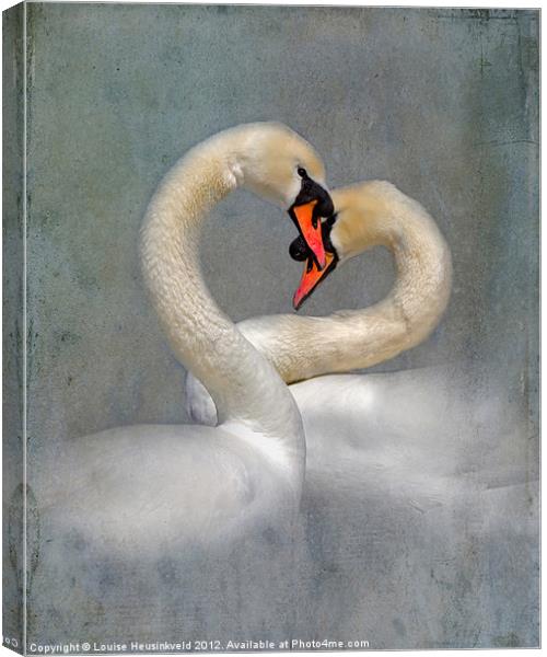 Courting Swans in Spring Canvas Print by Louise Heusinkveld