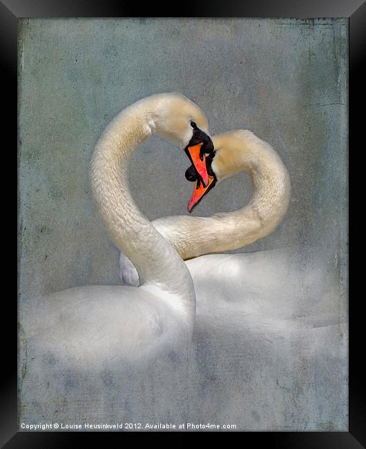 Courting Swans in Spring Framed Print by Louise Heusinkveld