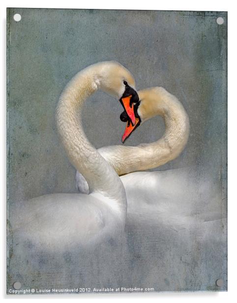 Courting Swans in Spring Acrylic by Louise Heusinkveld