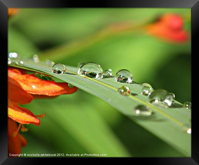 Raindrops Framed Print by michelle whitebrook