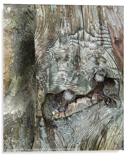 Gnarled tree bark Acrylic by DEE- Diana Cosford