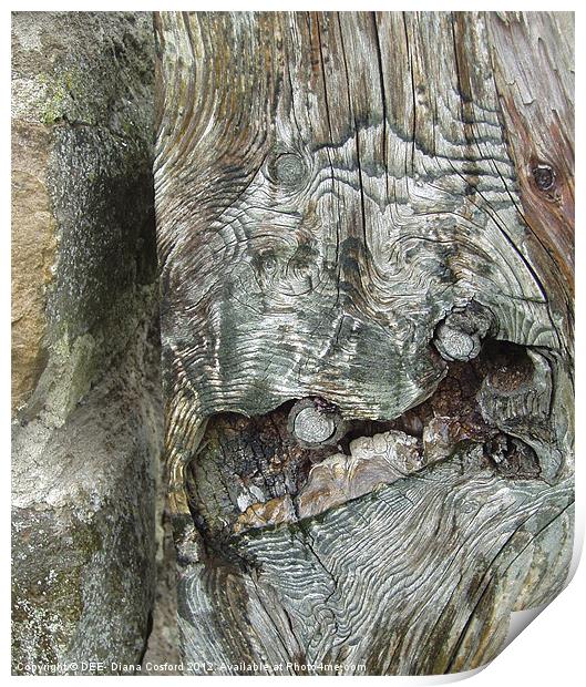 Gnarled tree bark Print by DEE- Diana Cosford
