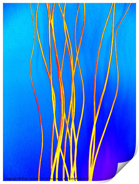 Luminous Twigs Print by Fine art by Rina