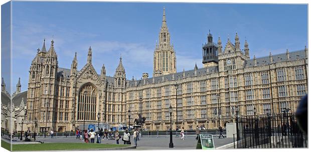 Palace of Westminster Canvas Print by Tony Murtagh