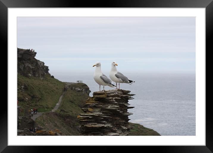 Seagulls on Patrol Framed Mounted Print by Susan Bilson