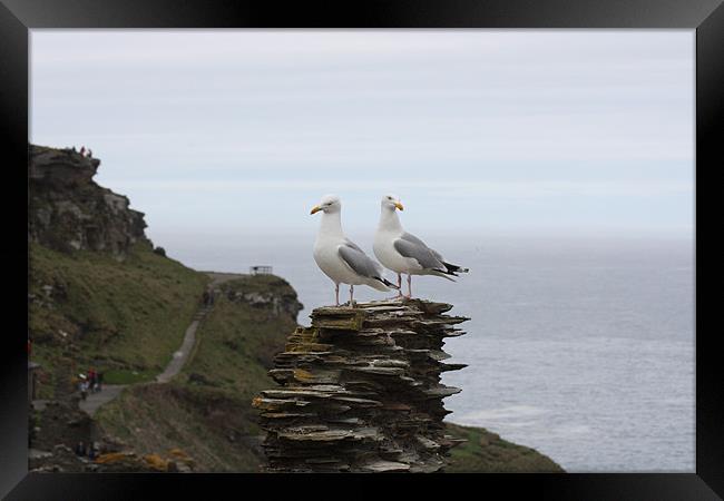 Seagulls on Patrol Framed Print by Susan Bilson