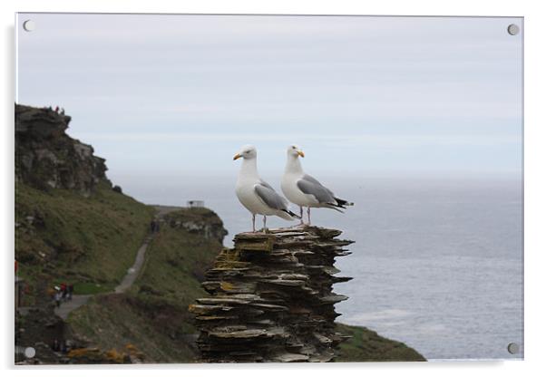 Seagulls on Patrol Acrylic by Susan Bilson