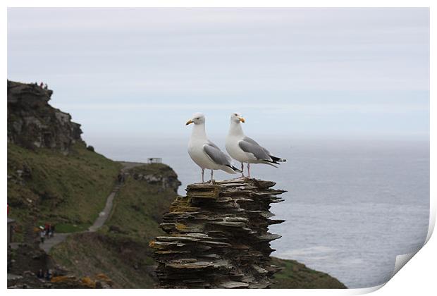 Seagulls on Patrol Print by Susan Bilson