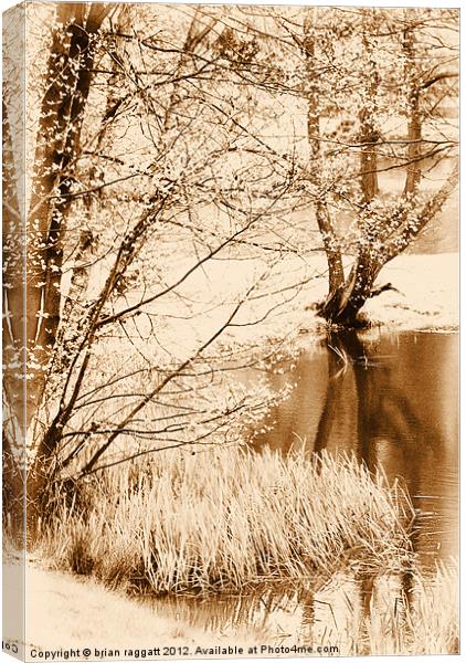 Lakeside Reflections Canvas Print by Brian  Raggatt