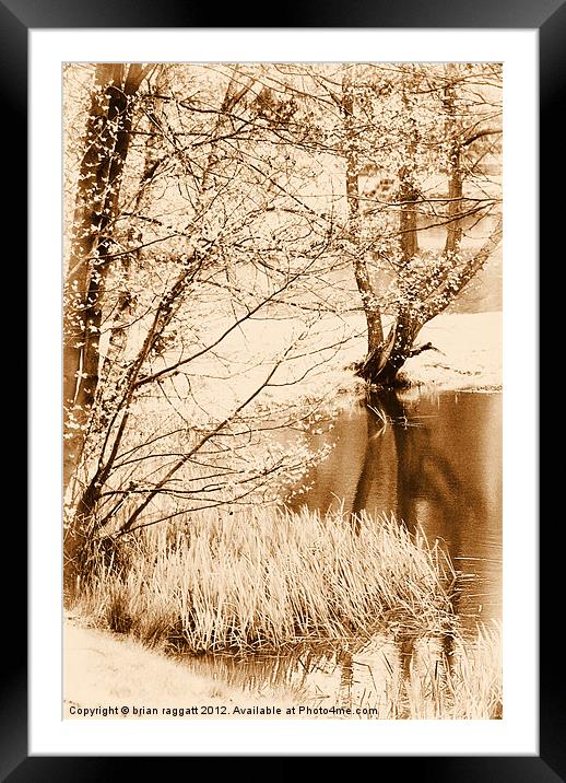 Lakeside Reflections Framed Mounted Print by Brian  Raggatt
