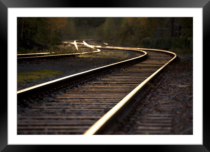 railway track Framed Mounted Print by peter schickert