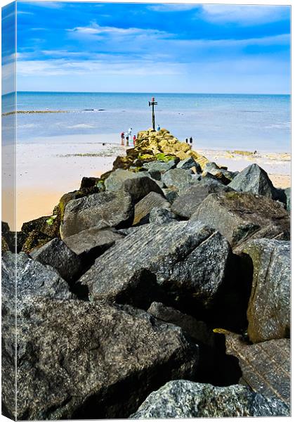 Coastal defence barrier. Canvas Print by Lee Daly