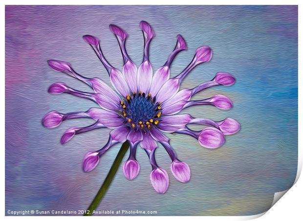 Sunscape Daisy Print by Susan Candelario