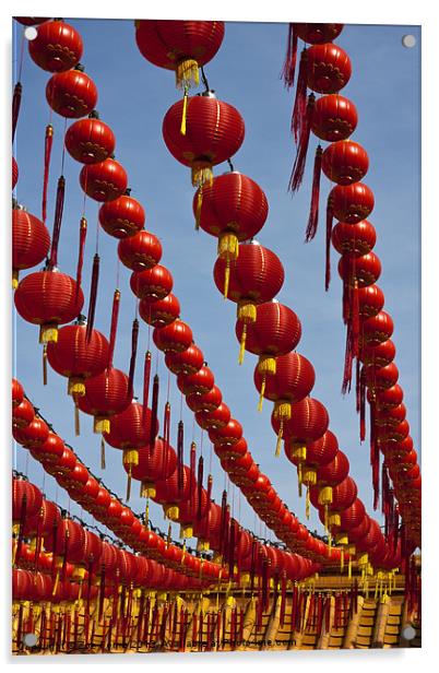 Red Chinese Lanterns Acrylic by Zoe Ferrie