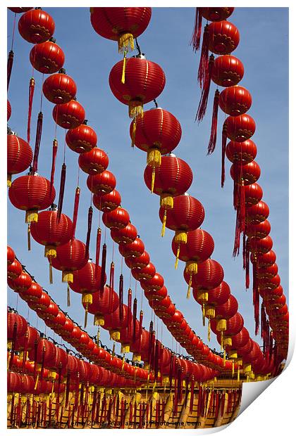 Red Chinese Lanterns Print by Zoe Ferrie