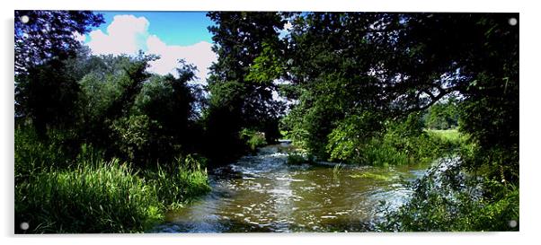 The River At Pockthorpe Norfolk Acrylic by John Boekee