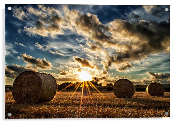 Straw Bales Sunset Acrylic by Dave Wilkinson North Devon Ph