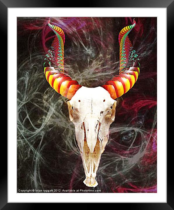 Goats Head Soup Framed Mounted Print by Brian  Raggatt