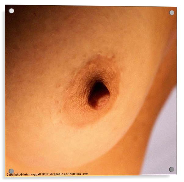 Nipple Study Acrylic by Brian  Raggatt