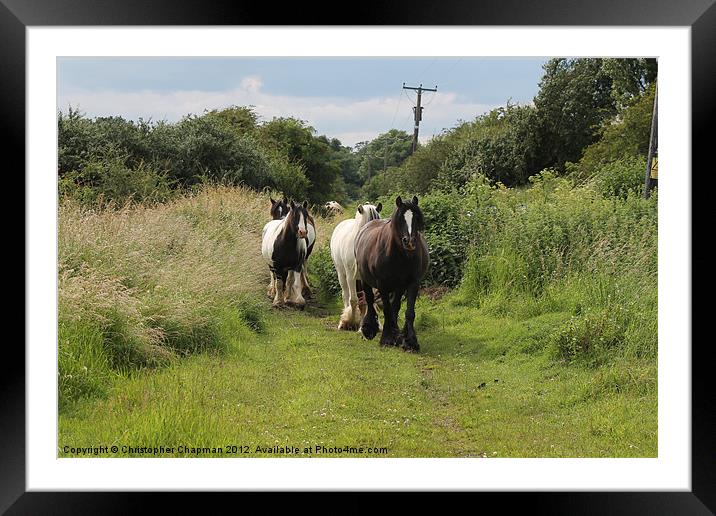 Horses on the Move Framed Mounted Print by Christopher Chapman