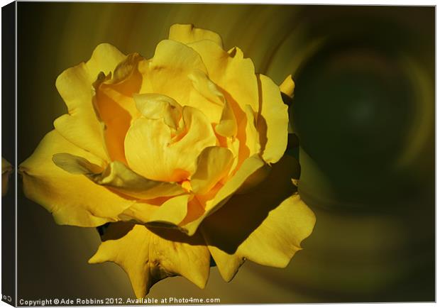 Yellow Flower Canvas Print by Ade Robbins