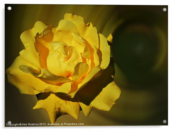 Yellow Flower Acrylic by Ade Robbins
