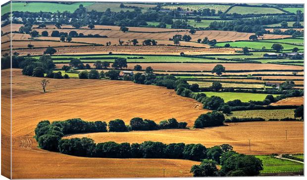 English Countryside Canvas Print by Mark Pritchard
