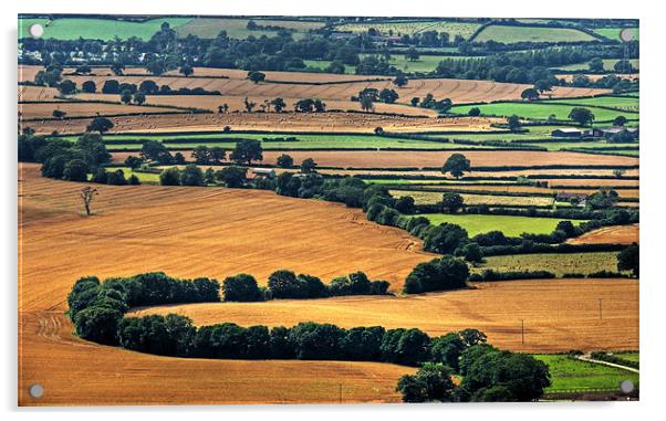 English Countryside Acrylic by Mark Pritchard