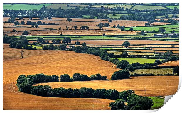 English Countryside Print by Mark Pritchard