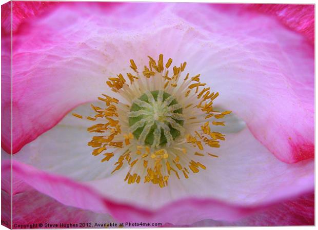 The Eye of a Poppy Canvas Print by Steve Hughes