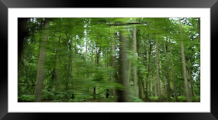 woods on the move Framed Mounted Print by John Boekee