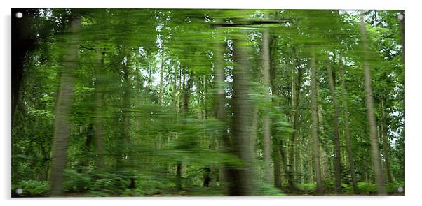 woods on the move Acrylic by John Boekee